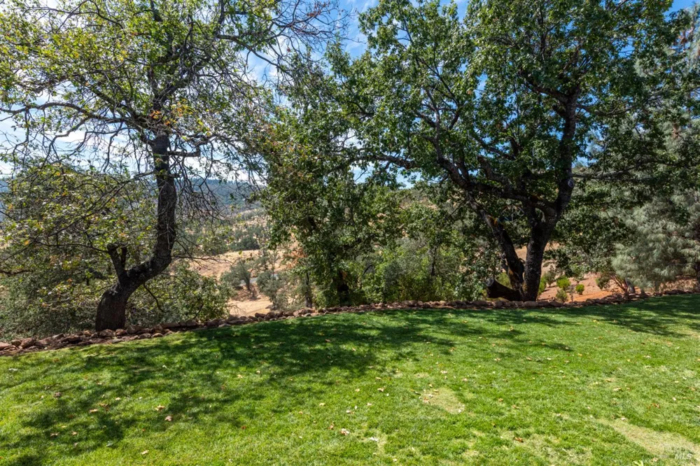 16855 Black Oak Hill Drive Middletown, CA 95461