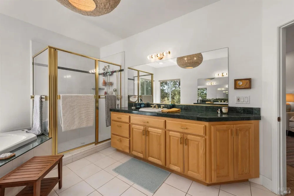 16855 Black Oak Hill Drive Middletown, CA 95461