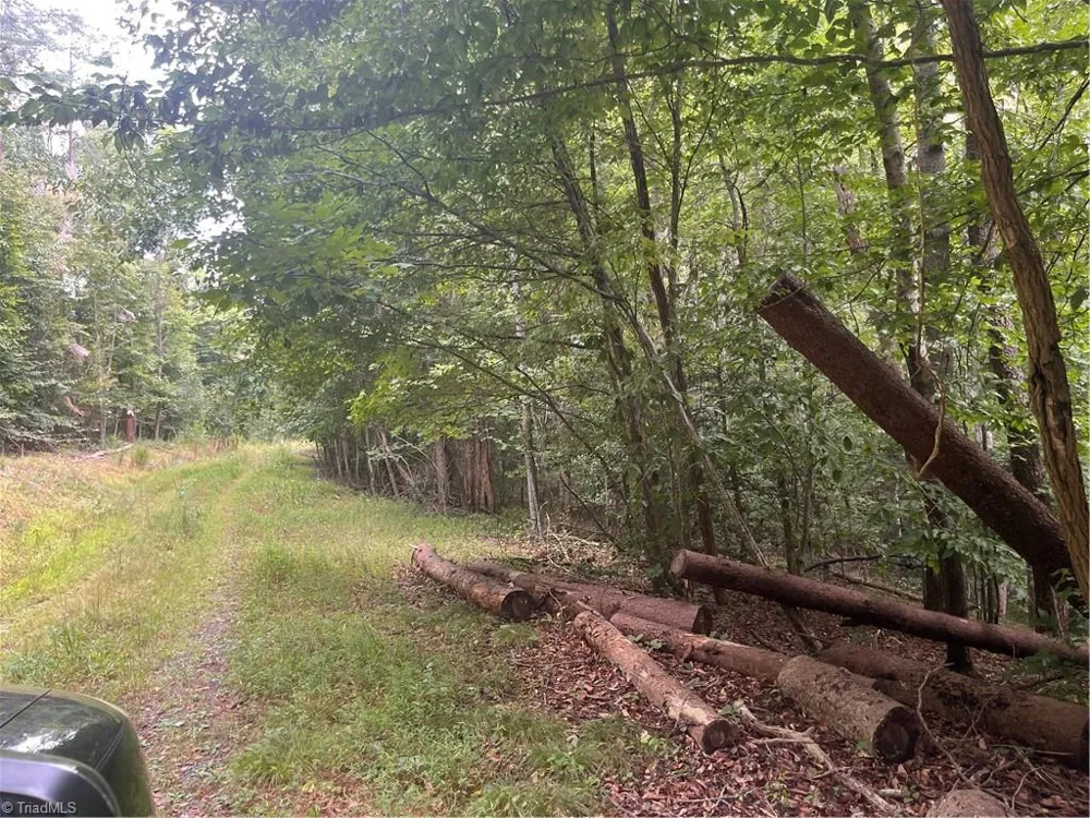1170 Timber Ridge Road Westfield, NC 27053