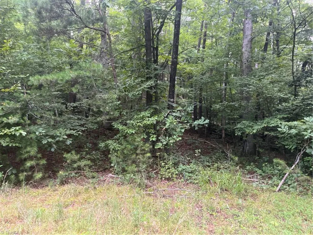 1170 Timber Ridge Road Westfield, NC 27053