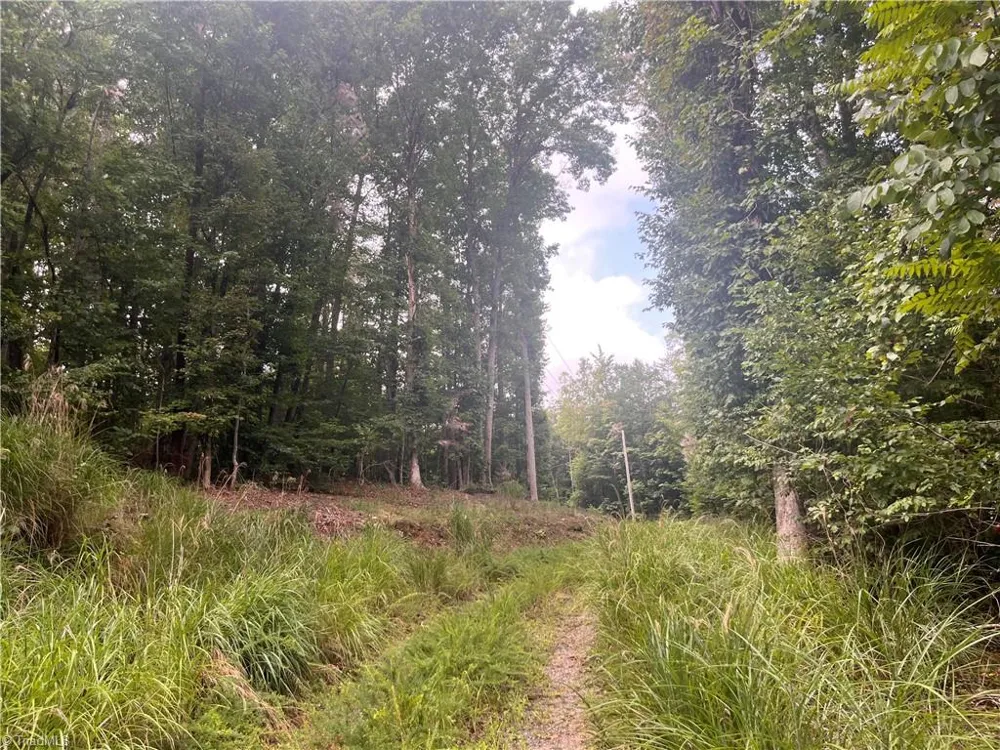 1170 Timber Ridge Road Westfield, NC 27053