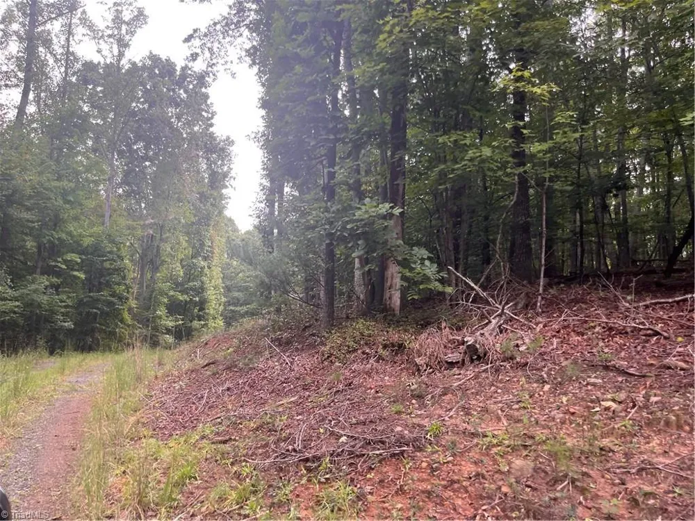 1170 Timber Ridge Road Westfield, NC 27053