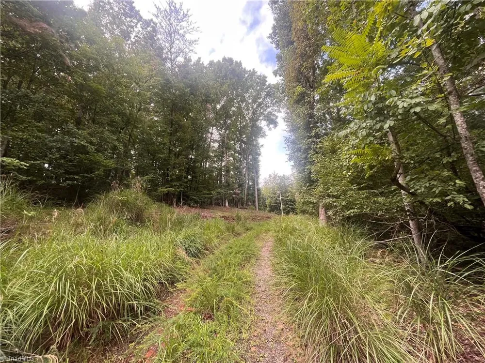 1170 Timber Ridge Road Westfield, NC 27053