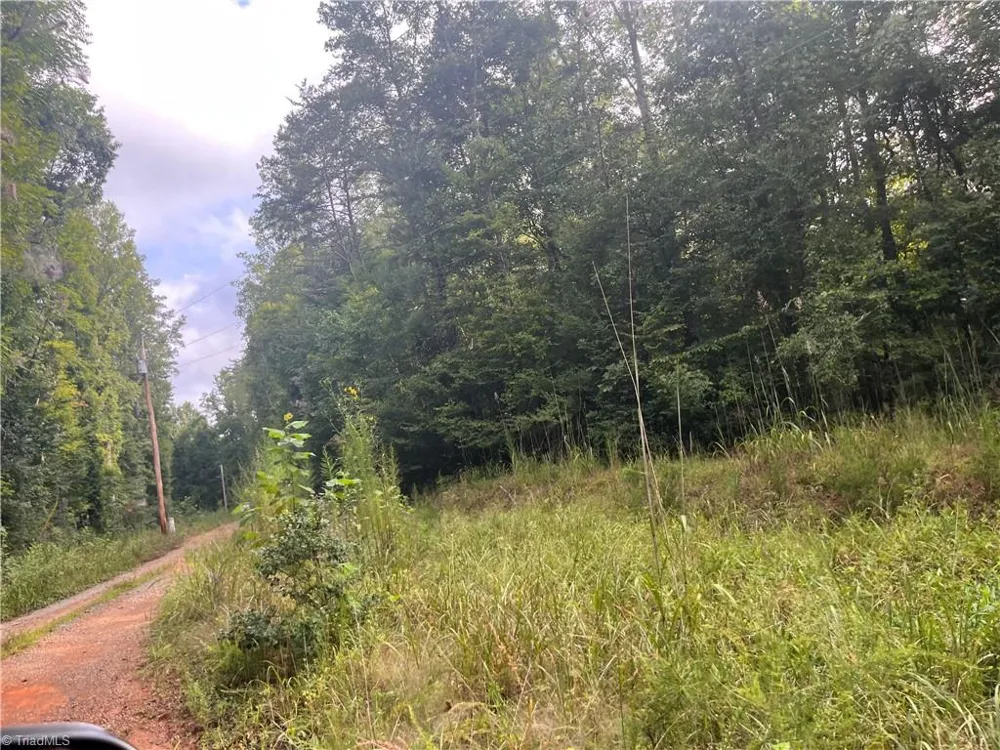 1170 Timber Ridge Road Westfield, NC 27053
