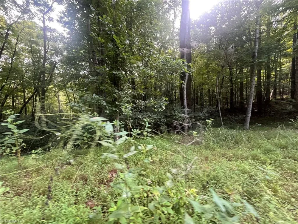 1170 Timber Ridge Road Westfield, NC 27053