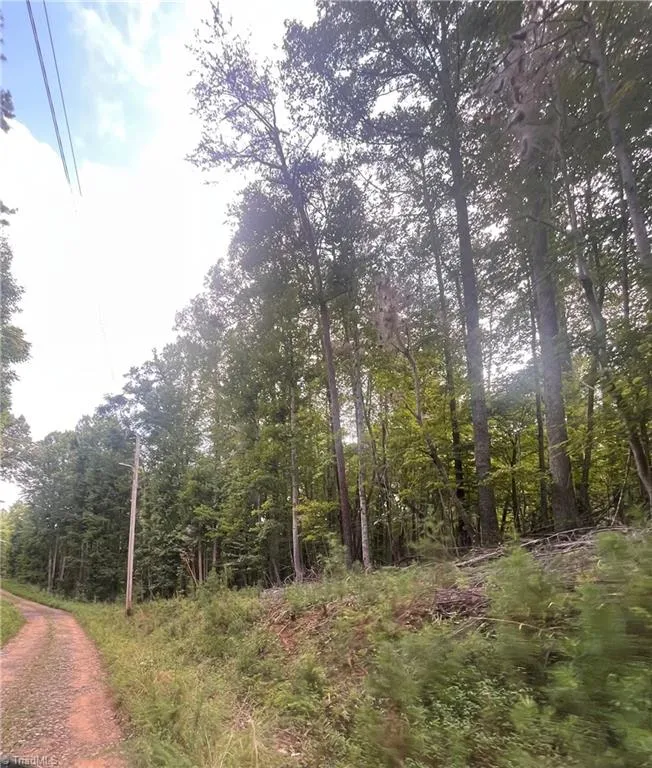 1170 Timber Ridge Road Westfield, NC 27053