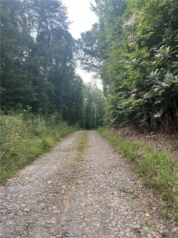 1170 Timber Ridge Road Westfield, NC 27053