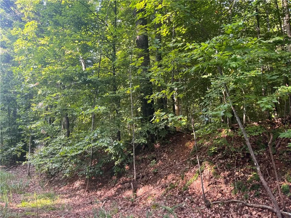 1170 Timber Ridge Road Westfield, NC 27053