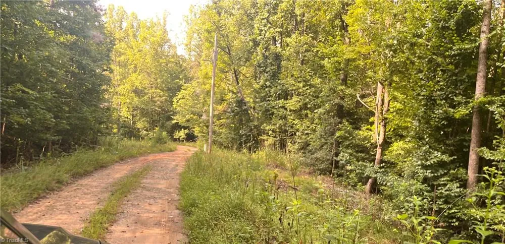 1170 Timber Ridge Road Westfield, NC 27053