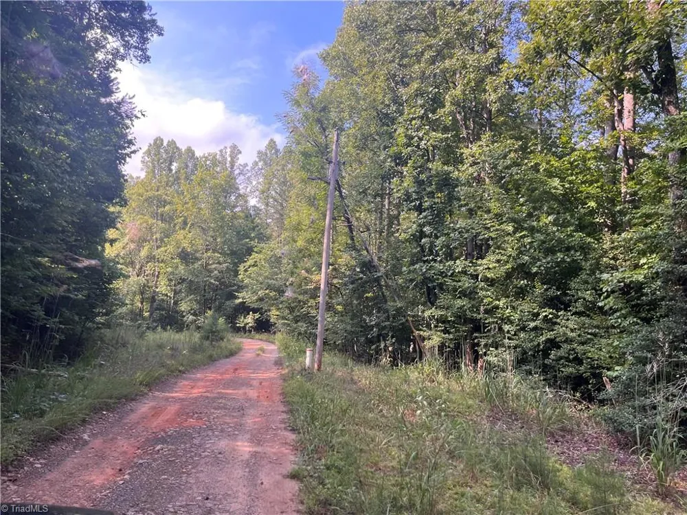 1170 Timber Ridge Road Westfield, NC 27053