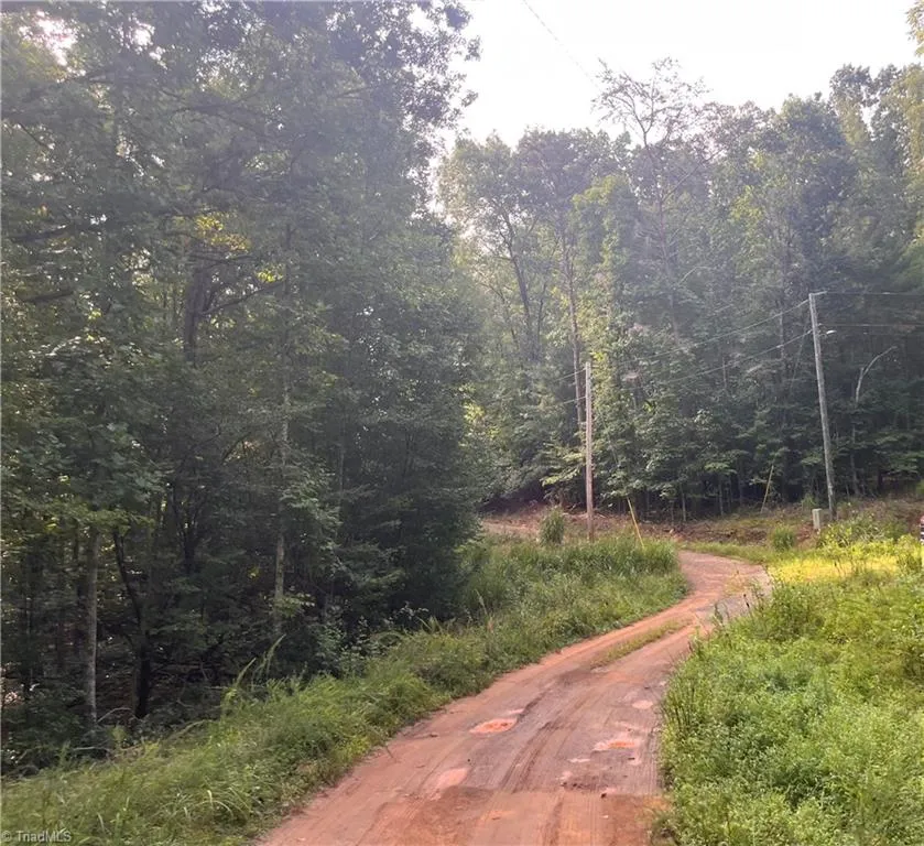 1170 Timber Ridge Road Westfield, NC 27053