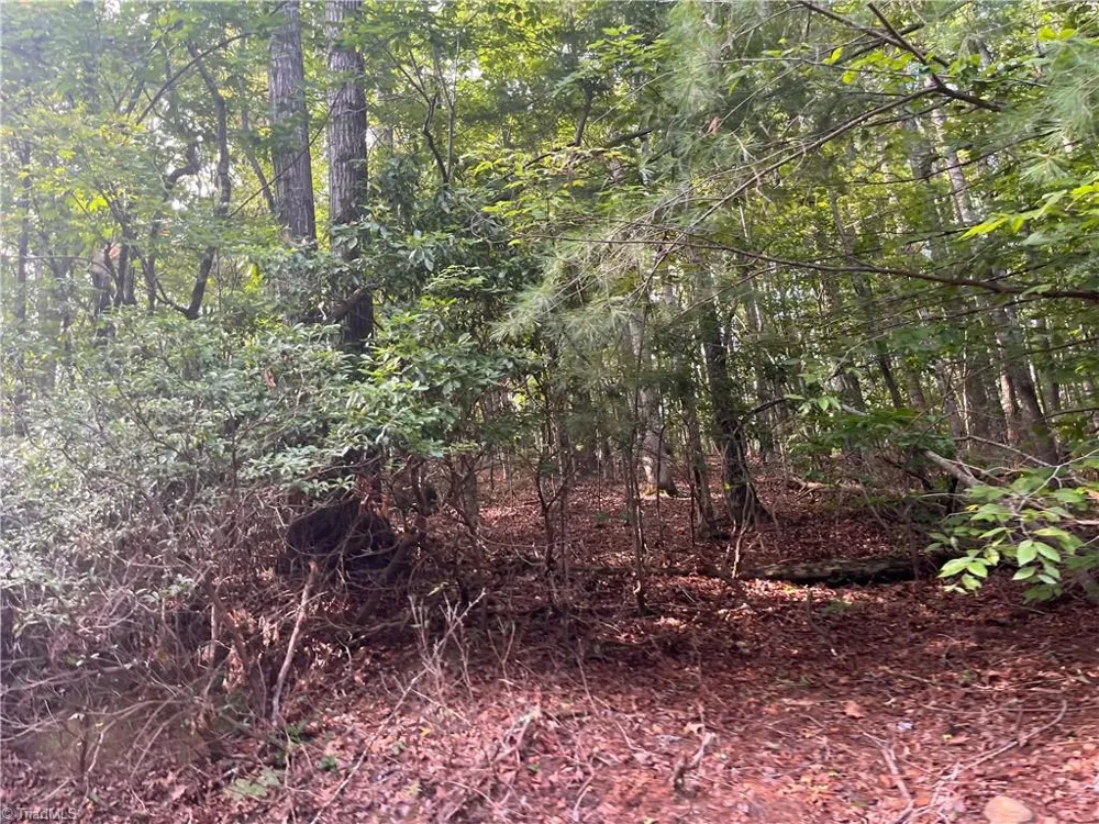 1170 Timber Ridge Road Westfield, NC 27053