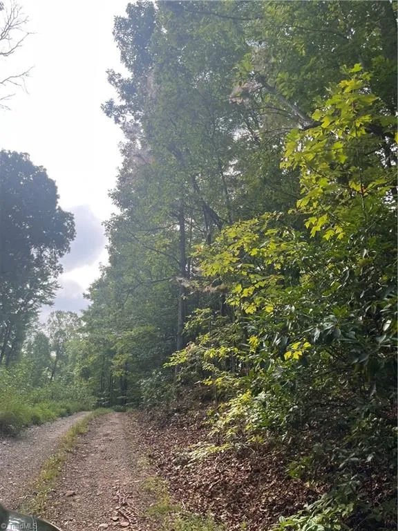 1170 Timber Ridge Road Westfield, NC 27053