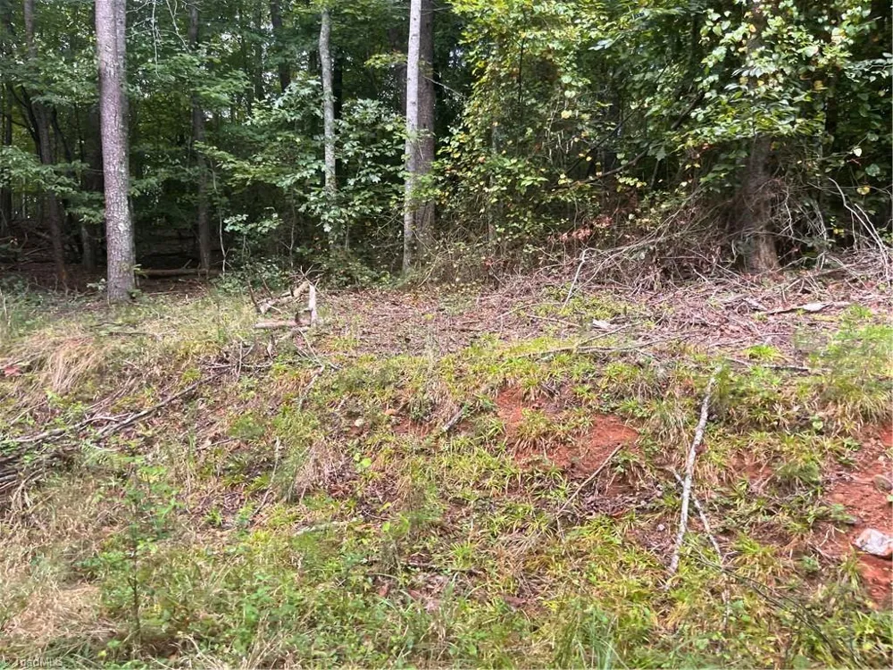 1170 Timber Ridge Road Westfield, NC 27053