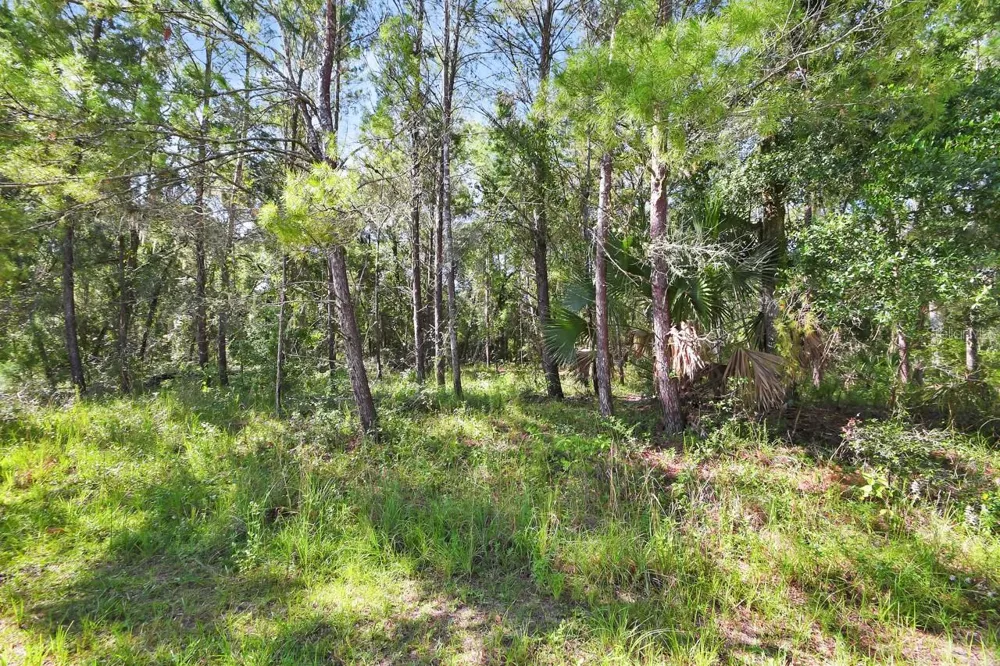 1964 S FARM ROAD Deland, FL 32720