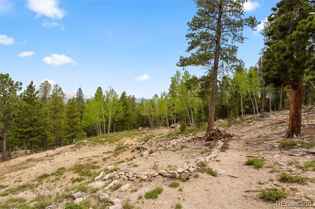 109 Cutforth Road Black Hawk, CO 80422