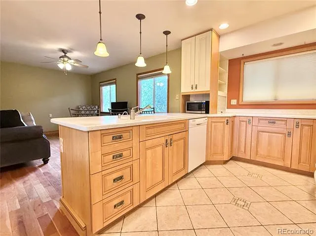 2023 Summerfield Drive Castle Rock, CO 80104