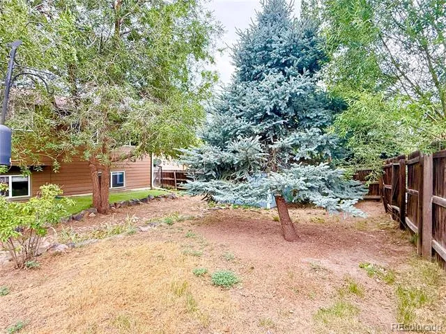 2023 Summerfield Drive Castle Rock, CO 80104