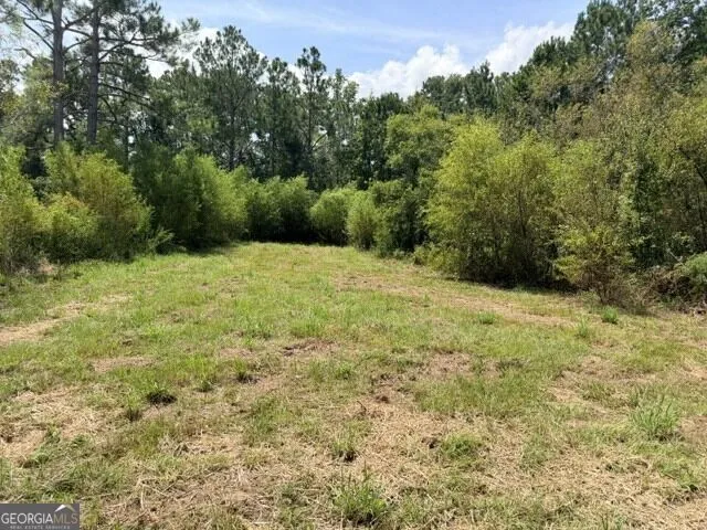81 Daphney LN Statesboro, GA 30458