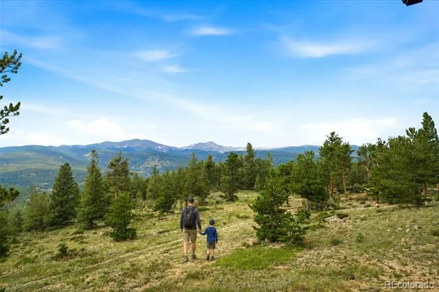 1455 Ridge Road Nederland, CO 80466