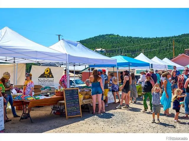 1455 Ridge Road Nederland, CO 80466