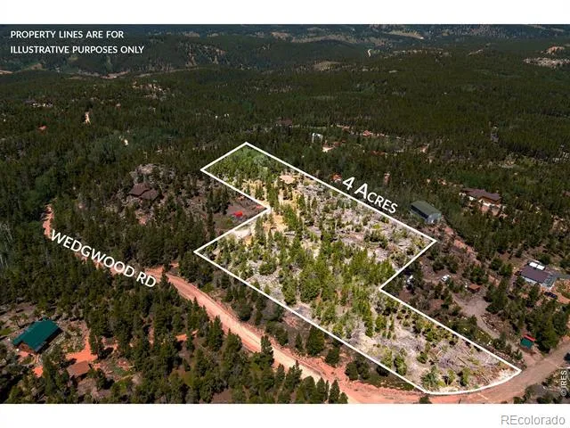 1217 Wedgwood Road Black Hawk, CO 80422