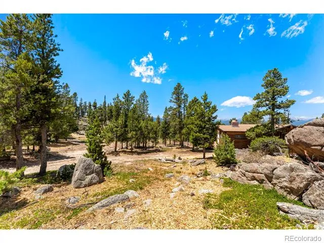 1217 Wedgwood Road Black Hawk, CO 80422