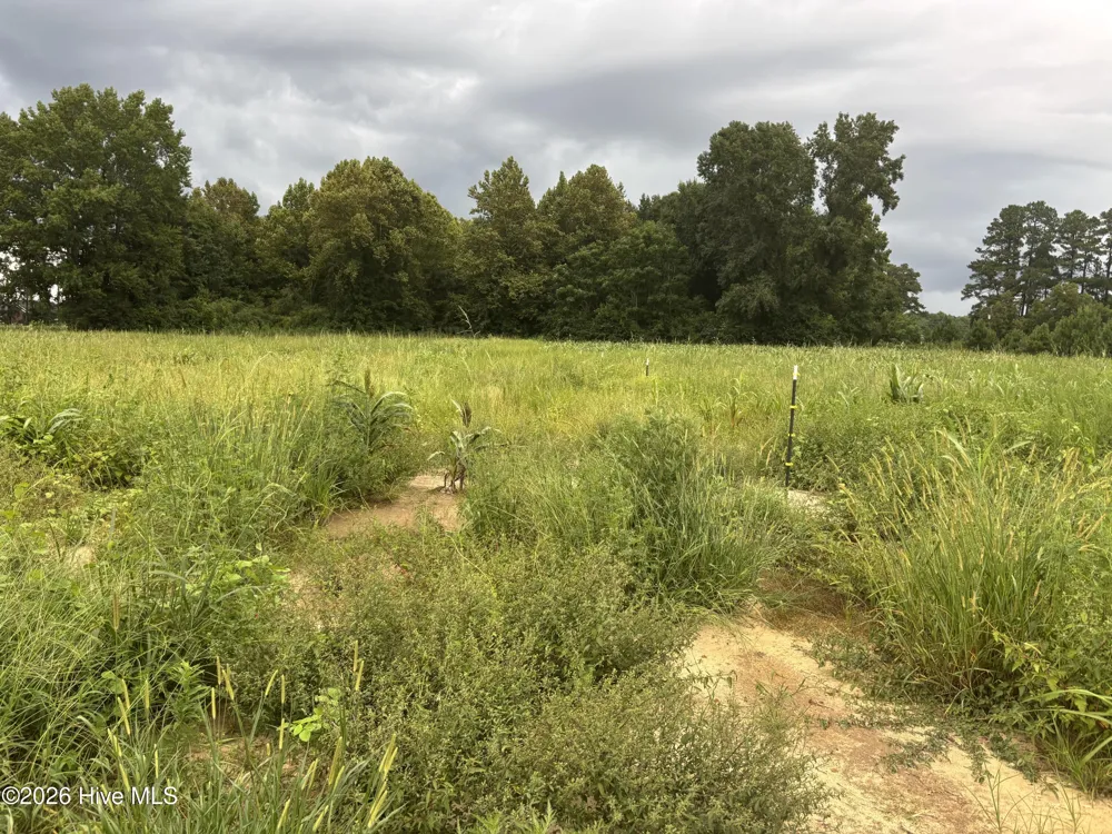 8068 Clarendon Chadbourn Road Chadbourn, NC 28431