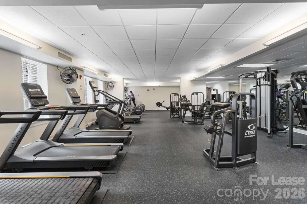 300 W 5th Street #546 Charlotte, NC 28202