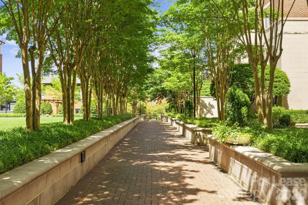 300 W 5th Street #546 Charlotte, NC 28202