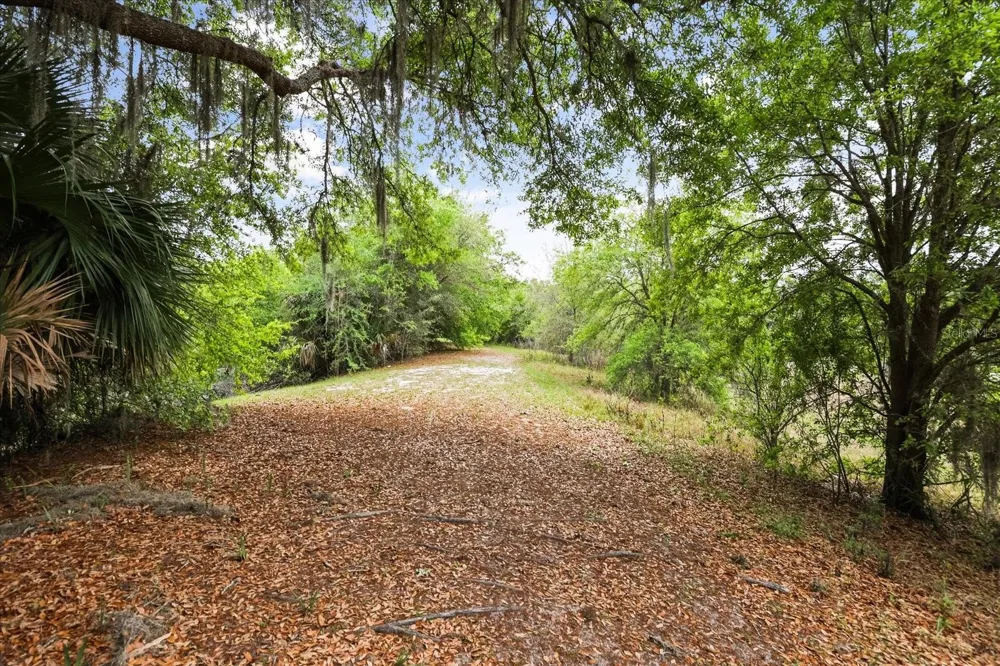 2808 TAMARACK TRAIL Apopka, FL 32703
