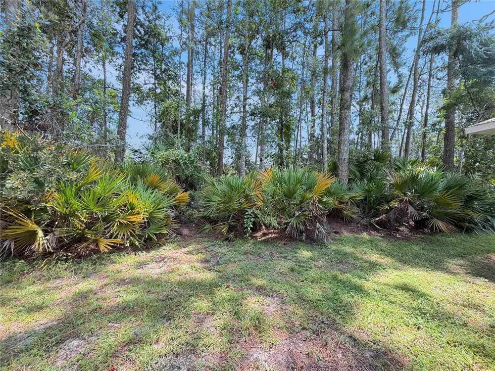 Address Not Shown Palm Coast, FL 32137