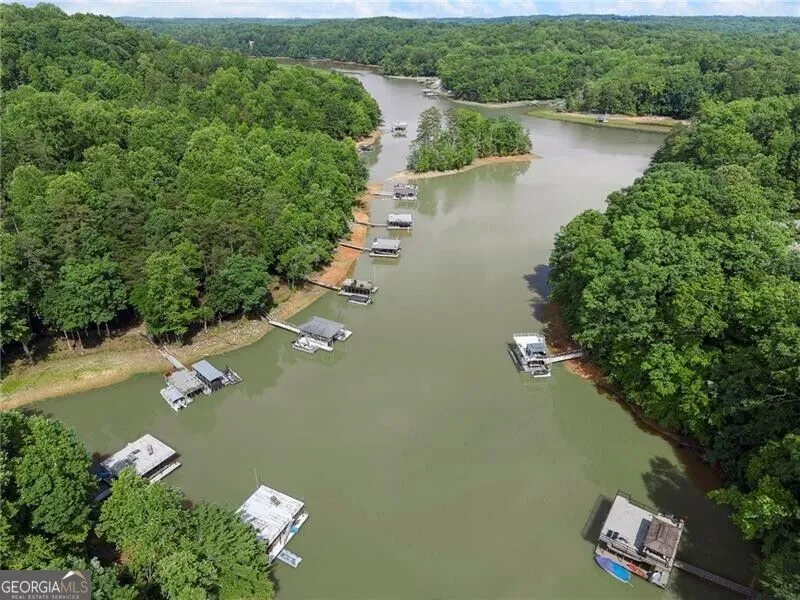 195 Fredericks CV Dawsonville, GA 30534