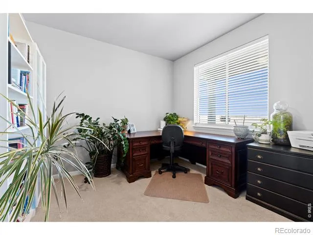 709 Hillspire Drive Windsor, CO 80550