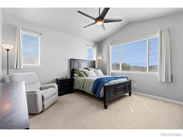 709 Hillspire Drive Windsor, CO 80550