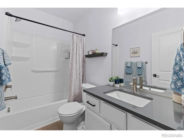 709 Hillspire Drive Windsor, CO 80550