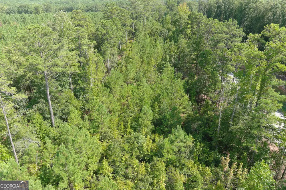 0 GA Hwy 103 West Point, GA 31833