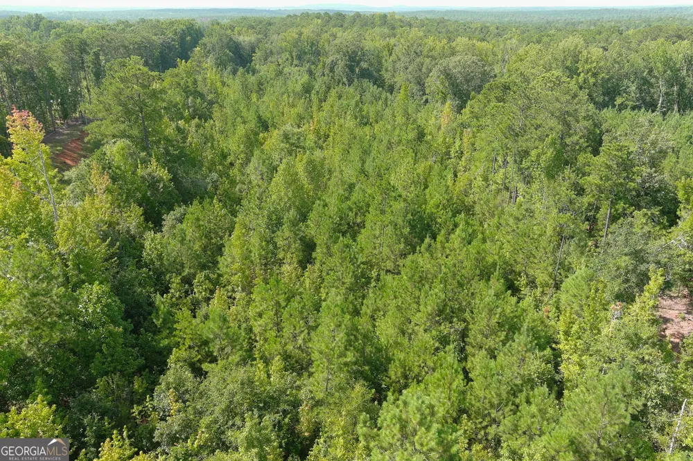 0 GA Hwy 103 West Point, GA 31833