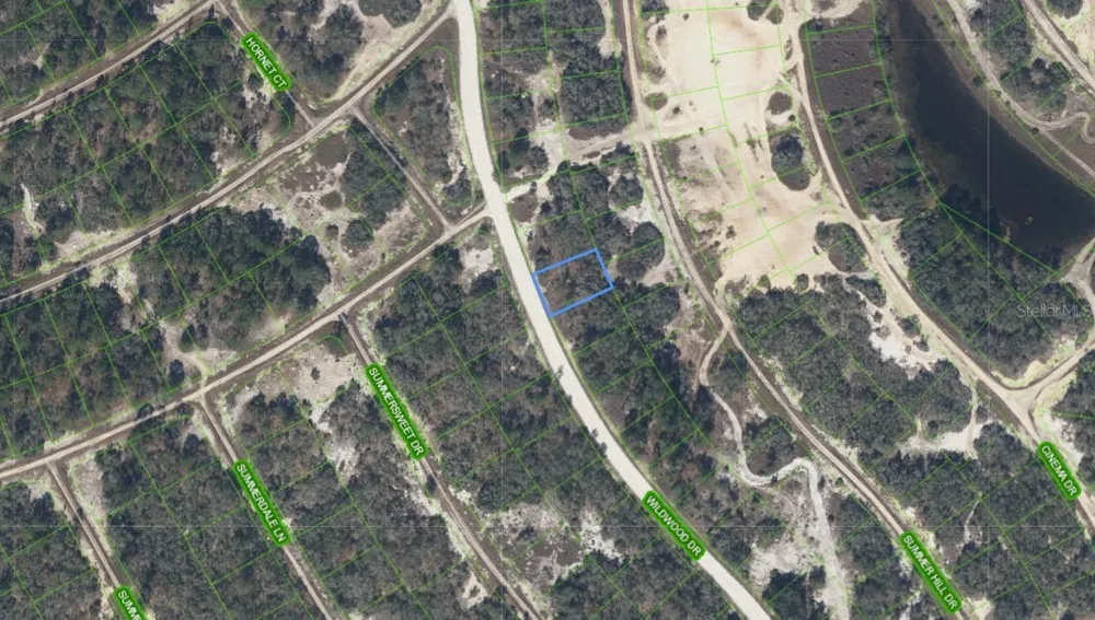 323 WILDWOOD DRIVE Lake Placid, FL 33852
