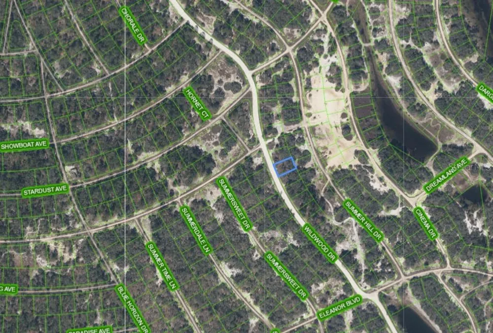 323 WILDWOOD DRIVE Lake Placid, FL 33852