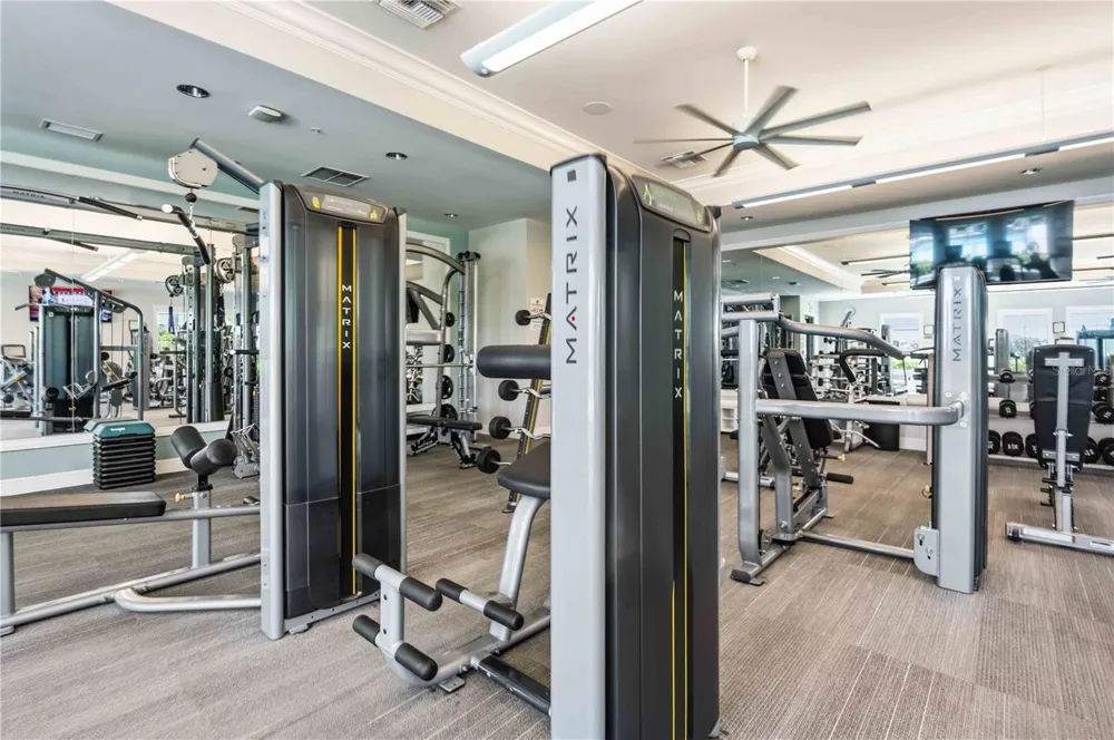 13115 BORREGO STREET Venice, FL 34293