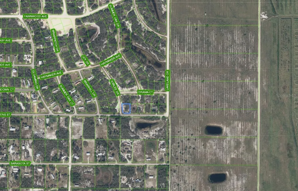 210 IMPATIENS STREET Lake Placid, FL 33852