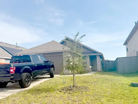 934 Silver Birch Branch
