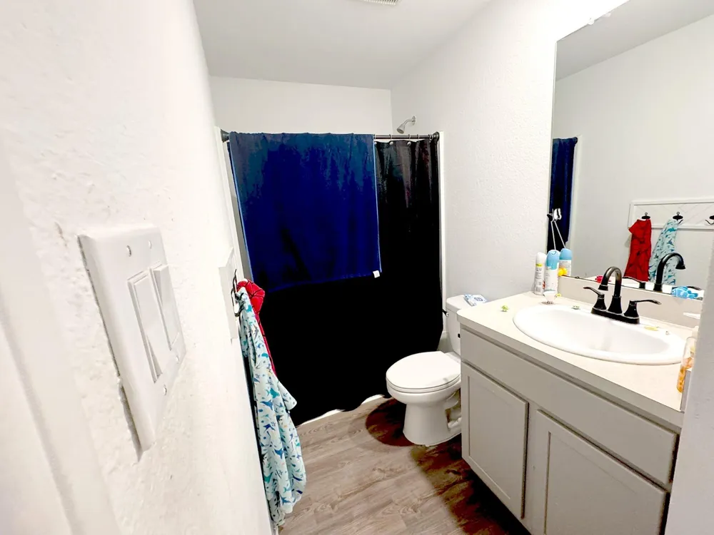 934 Silver Birch Branch Magnolia, TX 77354