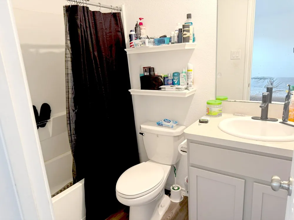 934 Silver Birch Branch Magnolia, TX 77354