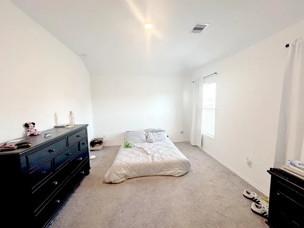 934 Silver Birch Branch Magnolia, TX 77354