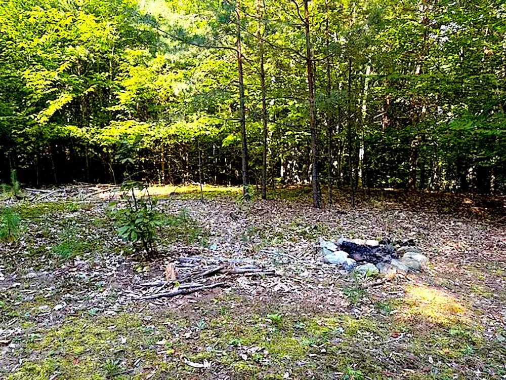 3086 Warren Road Benzonia Township, MI 49617