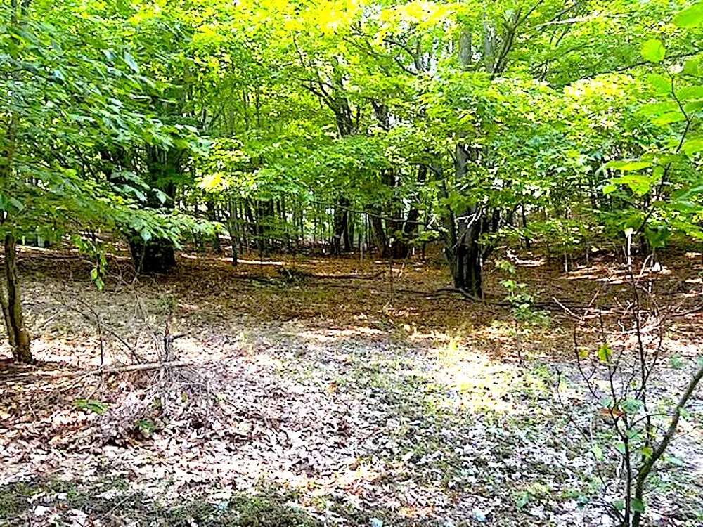 3086 Warren Road Benzonia Township, MI 49617
