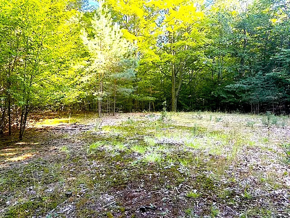 3086 Warren Road Benzonia Township, MI 49617