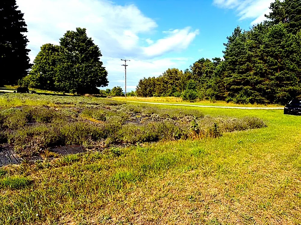 3086 Warren Road Benzonia Township, MI 49617